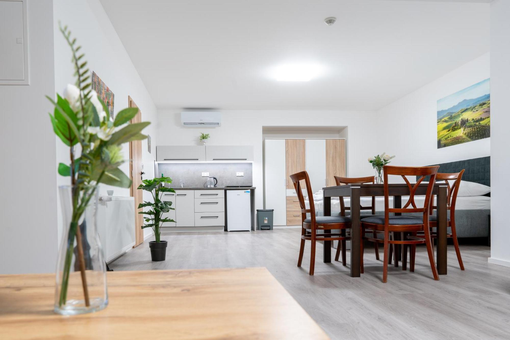 Apartmany Laguna 科普日夫尼采 外观 照片
